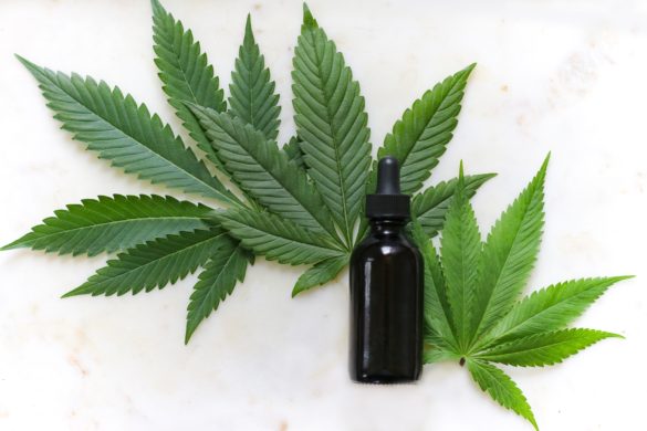 Prohibition Partners veröffentlicht ersten Report zum deutschen Cannabis-Markt