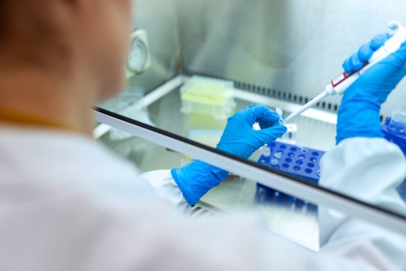 Clever Leaves erhält EU-GMP für Produktionsstätte und Labor