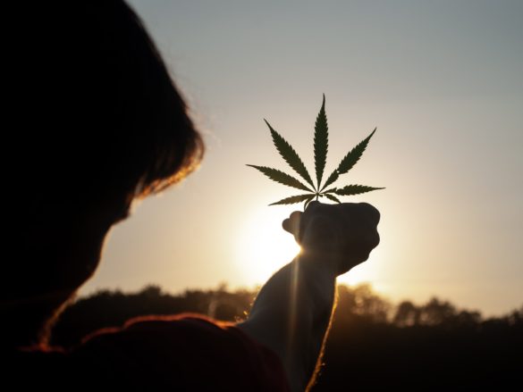 Big Pharma: Stada nimmt medizinisches Cannabis ins Portfolio auf