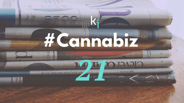 #CannaBiz – die News im November – #21