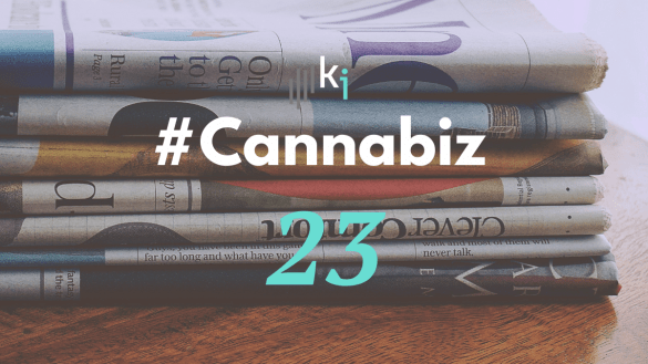 #CannaBiz – die News im Januar – #23