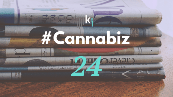 #CannaBiz – die News im Januar – #24