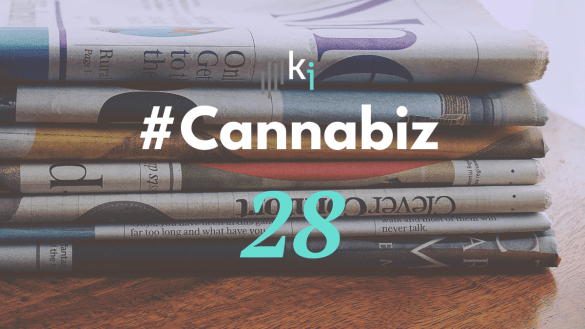 #CannaBiz – die News im Mai – #28
