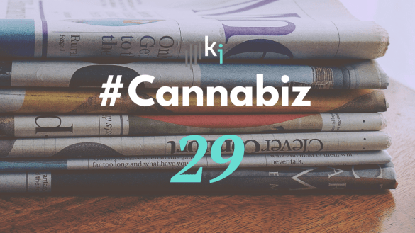 #CannaBiz – die News im Mai – #29