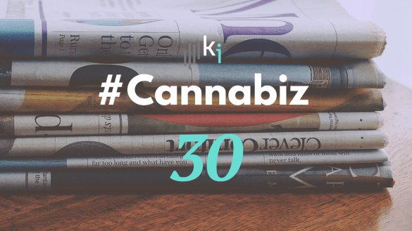 #CannaBiz – die News im August – #30