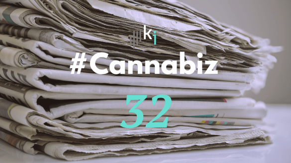 #CannaBiz – die News im Oktober – #32