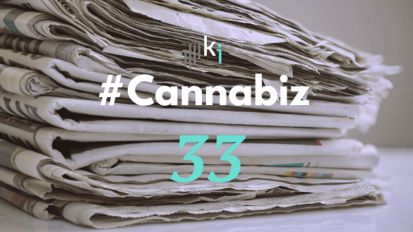 #CannaBiz – die News im Oktober – #33