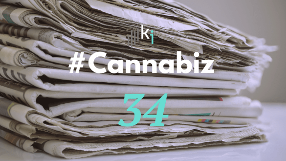 #CannaBiz – die News im November – #34