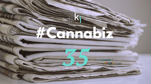 #CannaBiz – die News im Dezember – #35