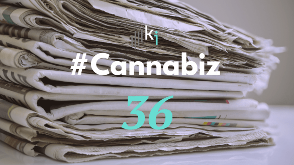 #Cannabiz – die News im Januar – #36