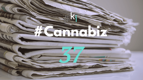 #CannaBiz – die News im Februar – #37