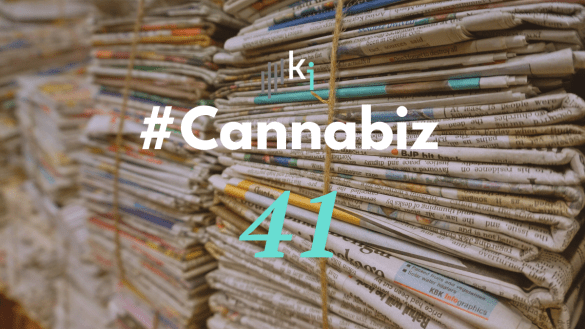 #CannaBiz – die News im Juni – #41