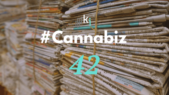 #CannaBiz – die News im Juli – #42