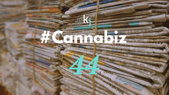 #CannaBiz – die News im September – #44