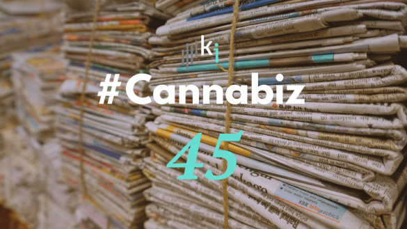 #CannaBiz – die News im Oktober – #45