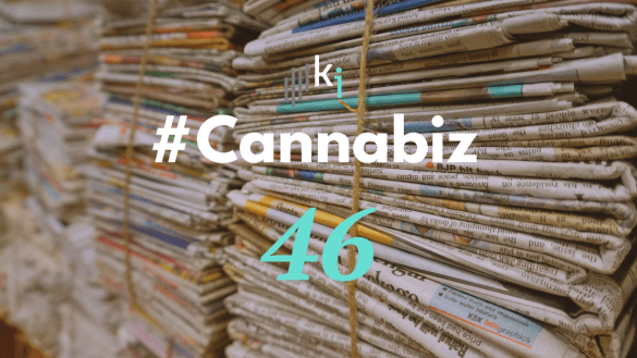 #CannaBiz – die News im November – #46