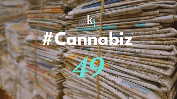 #CannaBiz – die News im Februar – #49