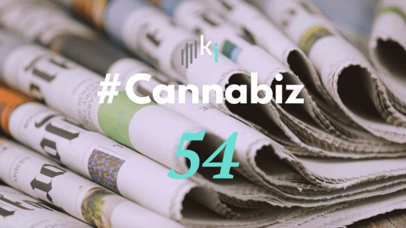 #CannaBiz – die News im Juli – #54