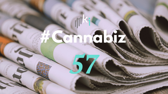 #CannaBiz – die News im Oktober – #57