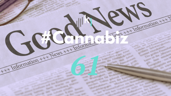 #CannaBiz – die News im Februar – #61