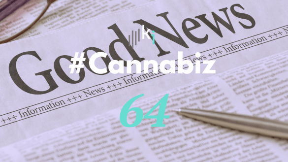 #CannaBiz – die News im Mai – #64