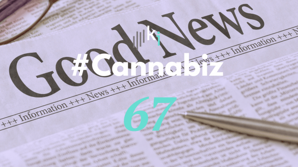 #CannaBiz – die News im August – #67