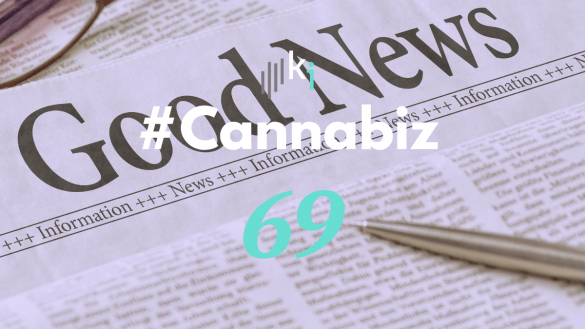 #CannaBiz – die News im Oktober – #69