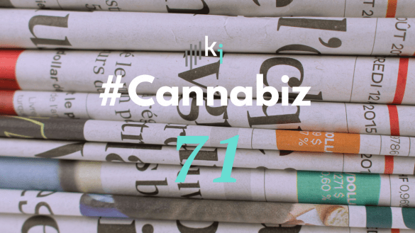 #CannaBiz – die News im Dezember – #71