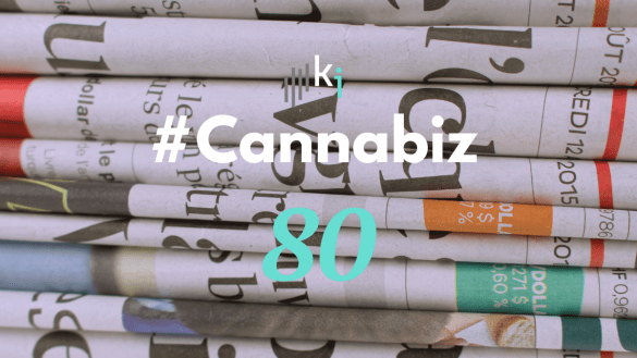 #CannaBiz – die News im September – #80