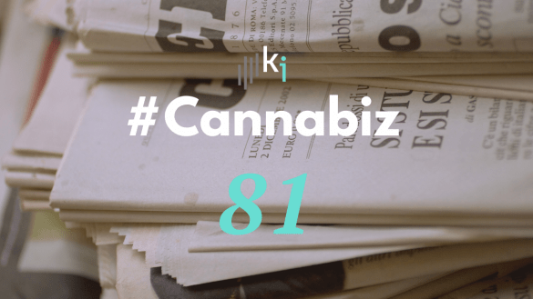 #CannaBiz – die News im Oktober – #81