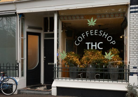 Niederländisches Cannabis-Experiment am Scheideweg