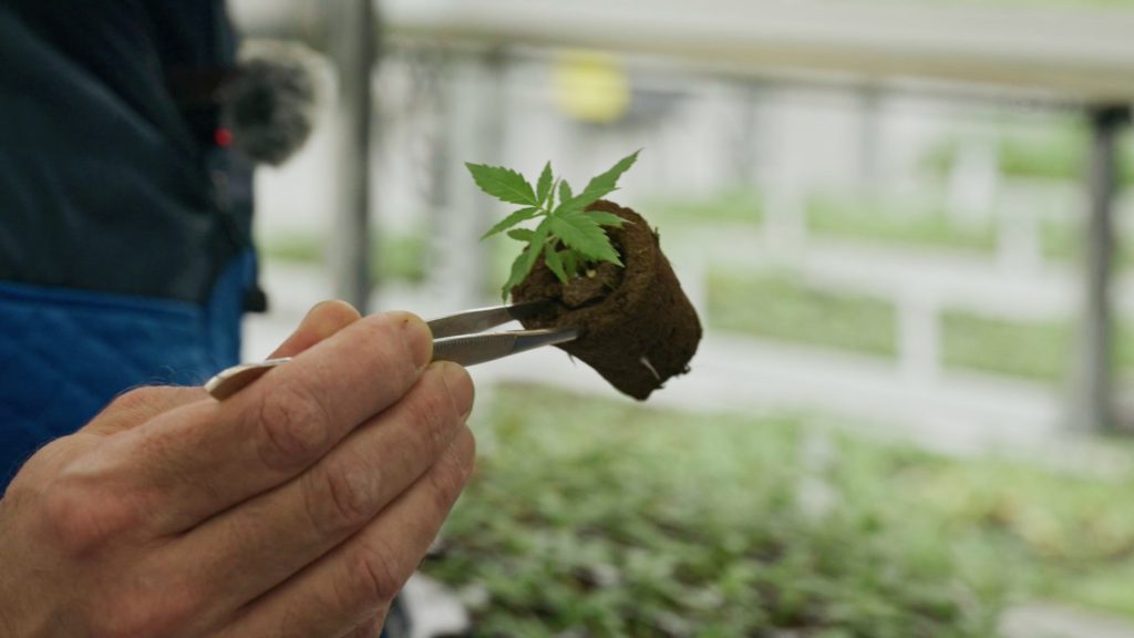 Cultivating Excellence: Fluence Propagation Masterclass at Flowery Field