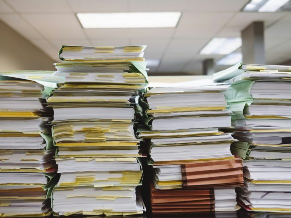 Cannabisproduktegesetz in der Schweiz: Breite Zustimmung zur Regulierung, Kritik am Entwurf